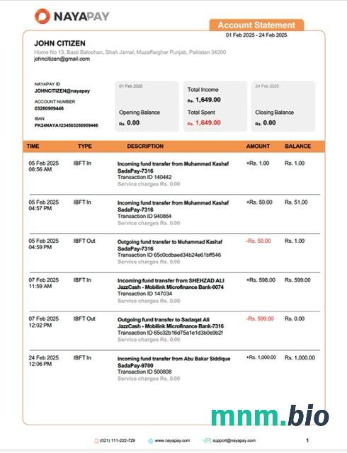 Pakistan Narodowy Bank Pakistanu wyciąg z konta Word i szablon PDF